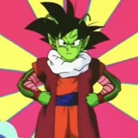 Goku + Piccolo