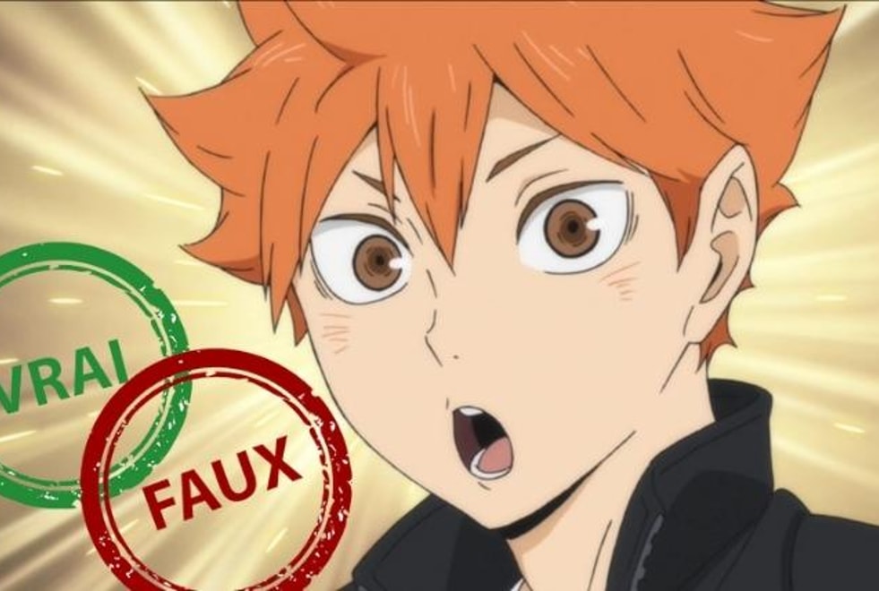 Haikyu!! : impossible d’avoir 10/10 à ce quiz Vrai ou Faux sur Hinata