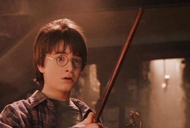 Quiz Harry Potter : fabrique ta baguette magique, tu sauras dans quelle Maison de Poudlard tu finis