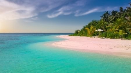 Sur une île paradisiaque 