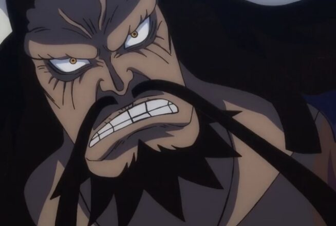 One Piece : le quiz le plus dur du monde sur Kaido