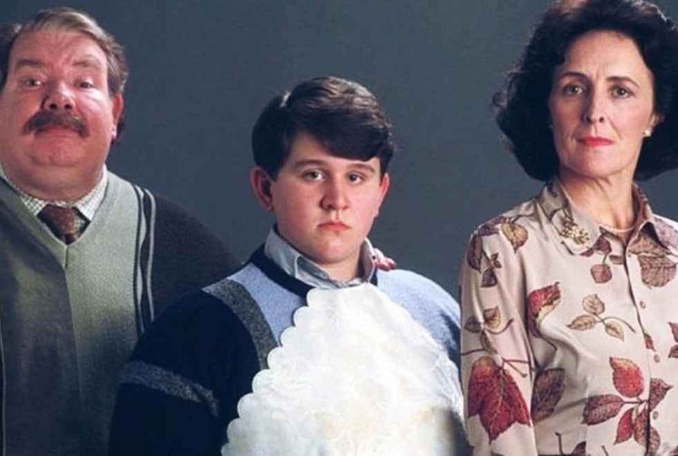 Quiz Harry Potter : ces infos sur toi nous dirons si t’es plus Vernon, Pétunia ou Dudley Dursley