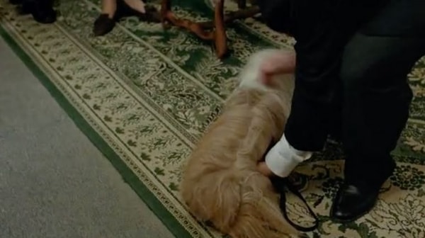 les-trois-freres-choupette