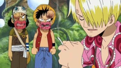 Quiz : ton mois de naissance te dira qui est ton ennemi dans One Piece