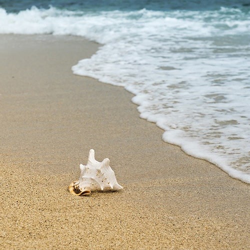 Sur la plage