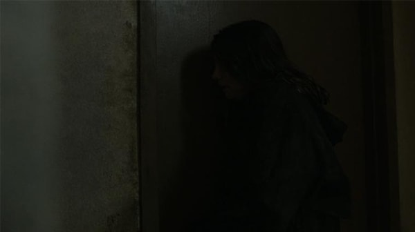 question-1-the-walking-dead-s04e09