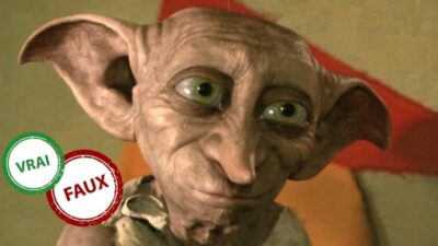 Quiz Harry Potter : seul un vrai fan aura 10/10 à ce vrai ou faux sur Dobby