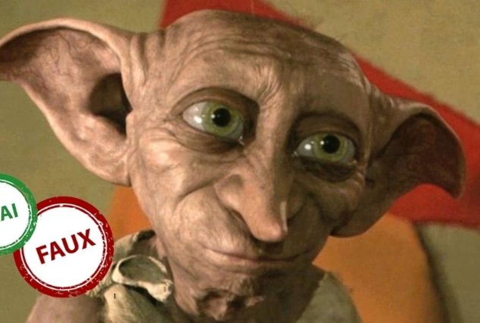 Quiz Harry Potter : seul un vrai fan aura 10/10 à ce vrai ou faux sur Dobby