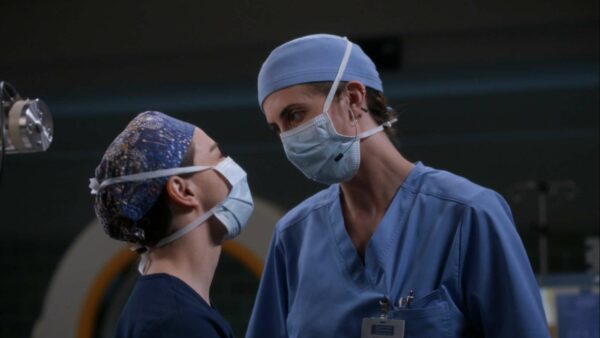 grey's anatomy, 17x11 questions bêtes