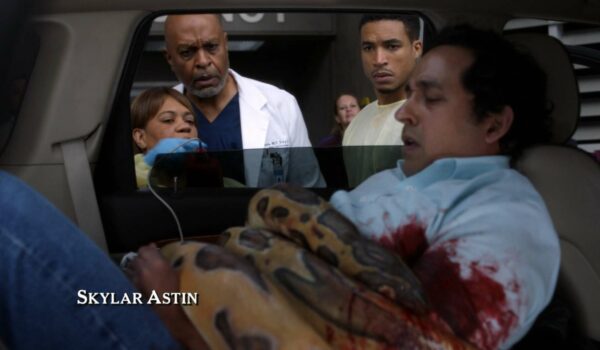 grey's anatomy, 18x13, questions bêtes