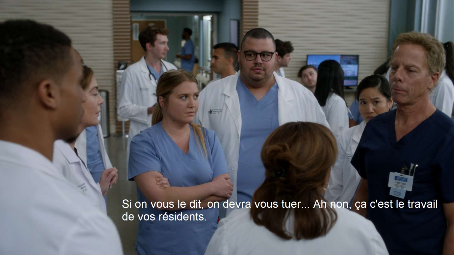 grey's anatomy, 17x11 questions bêtes