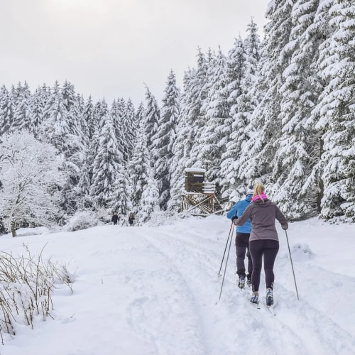 Le ski de fond