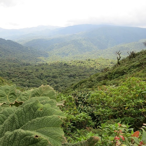 Costa Rica