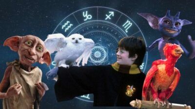 Quiz Harry Potter : balance ton signe astro, on te dira quelle créature magique tu pourrais adopter
