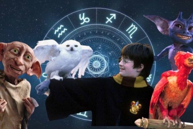 Quiz Harry Potter : balance ton signe astro, on te dira quelle créature magique tu pourrais adopter