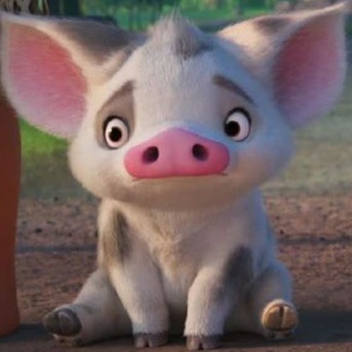 Pua de Vaiana