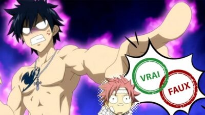 Quiz Fairy Tail : impossible d'avoir 10/10 à ce vrai ou faux sur Grey Fullbuster