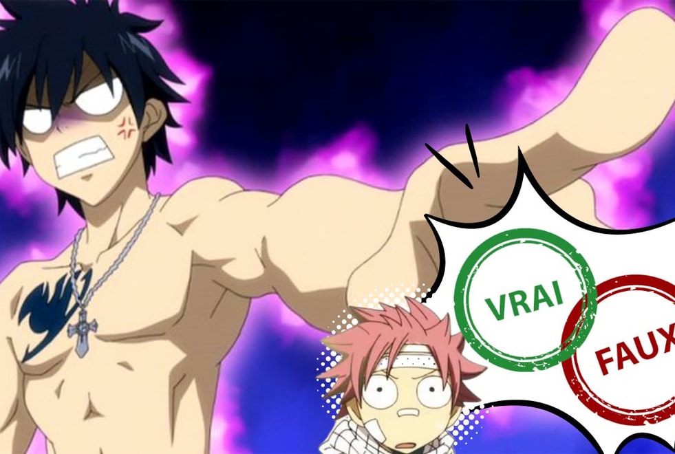 Quiz Fairy Tail : impossible d’avoir 10/10 à ce vrai ou faux sur Grey Fullbuster