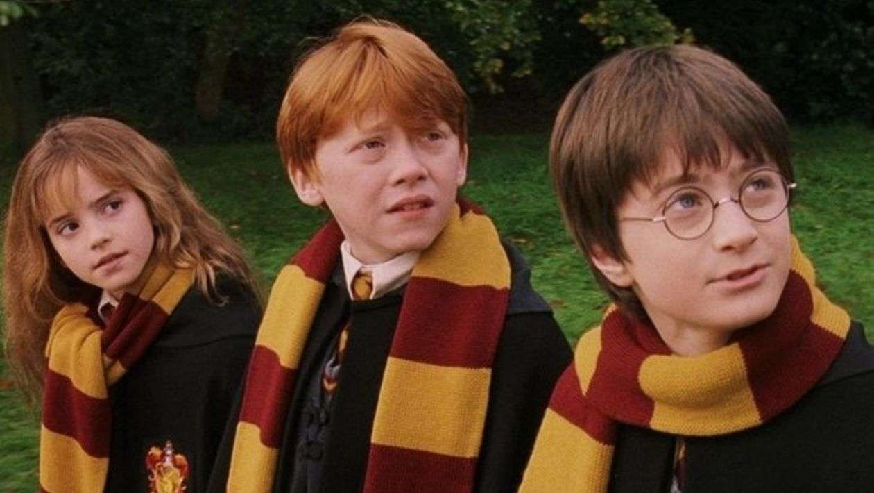 Quiz : réponds à ces dilemmes Harry Potter, on devinera si tu as plus ou moins de 30 ans