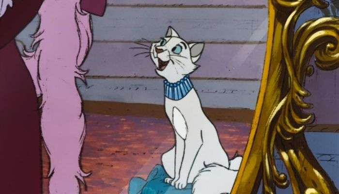 duchesse, aristochats