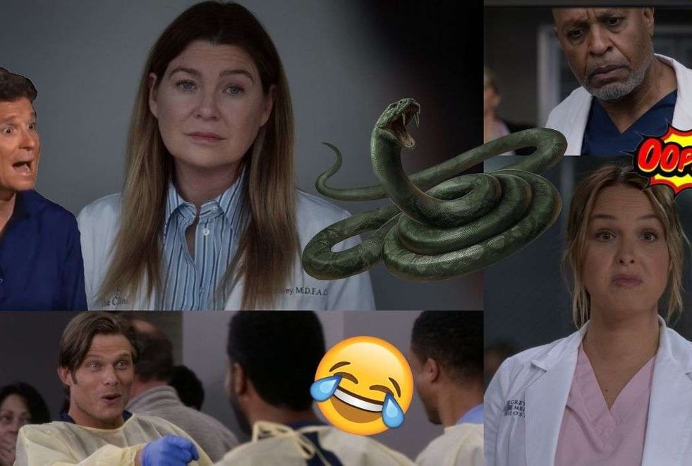 15 questions bêtes qu’on s’est posées devant l’épisode 13 de la saison 18 de Grey’s Anatomy