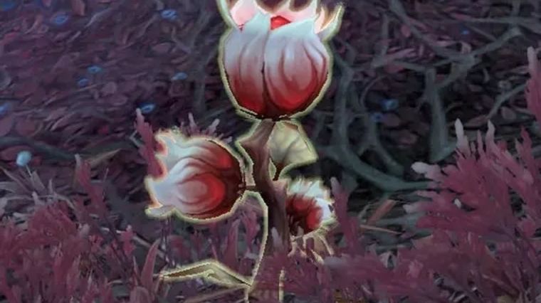 wow-plante