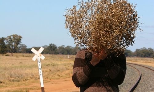 La maitrise parfaite du déguisement