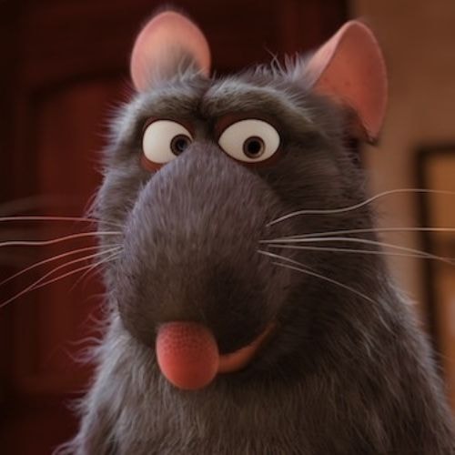 Ratatouille