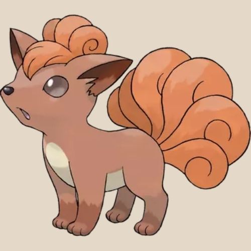Vulpix the cute fox