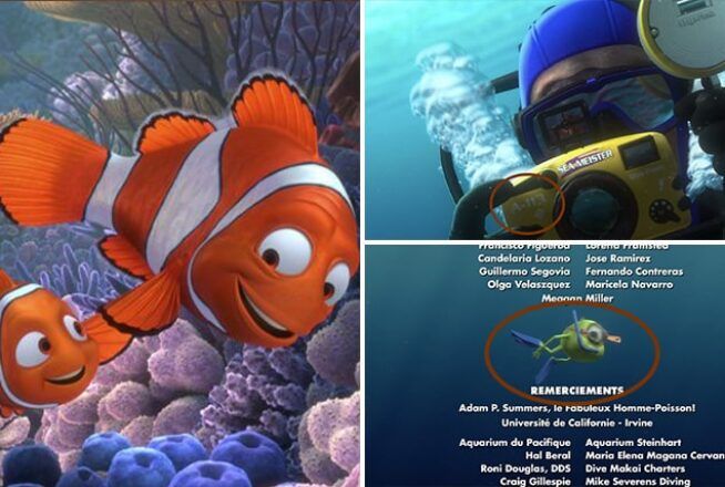 Le Monde de Nemo : ces détails que vous n’aviez probablement pas repérés dans le dessin animé