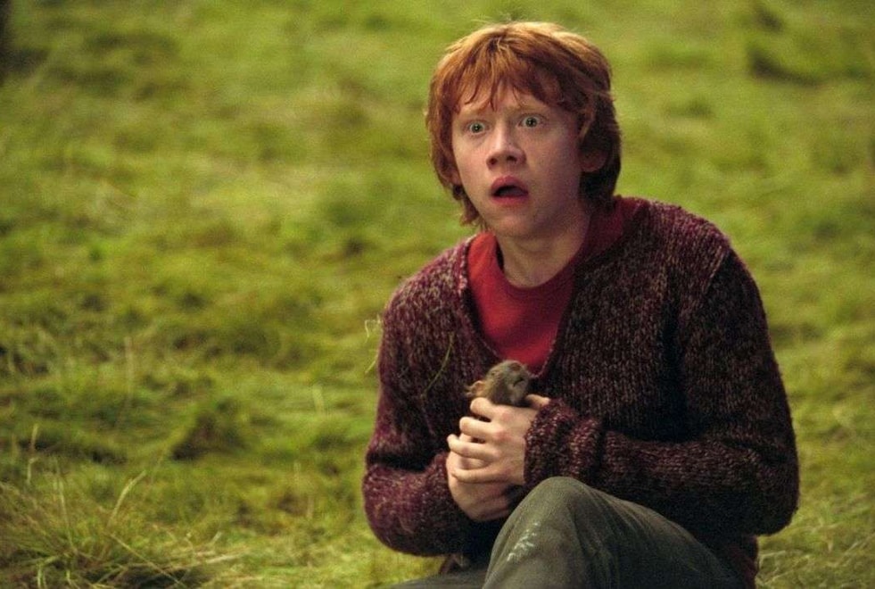 Harry Potter : le quiz le plus dur du monde sur Ron Weasley