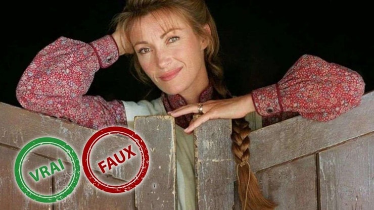 Docteur Quinn : impossible d'avoir 10/10 à ce quiz vrai ou faux sur Michaela Quinn