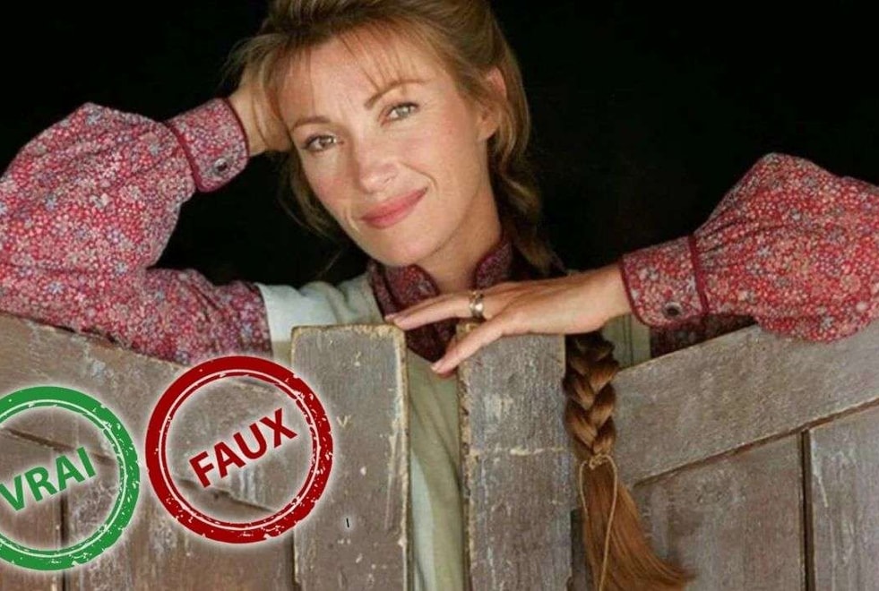Docteur Quinn : impossible d’avoir 10/10 à ce quiz vrai ou faux sur Michaela Quinn