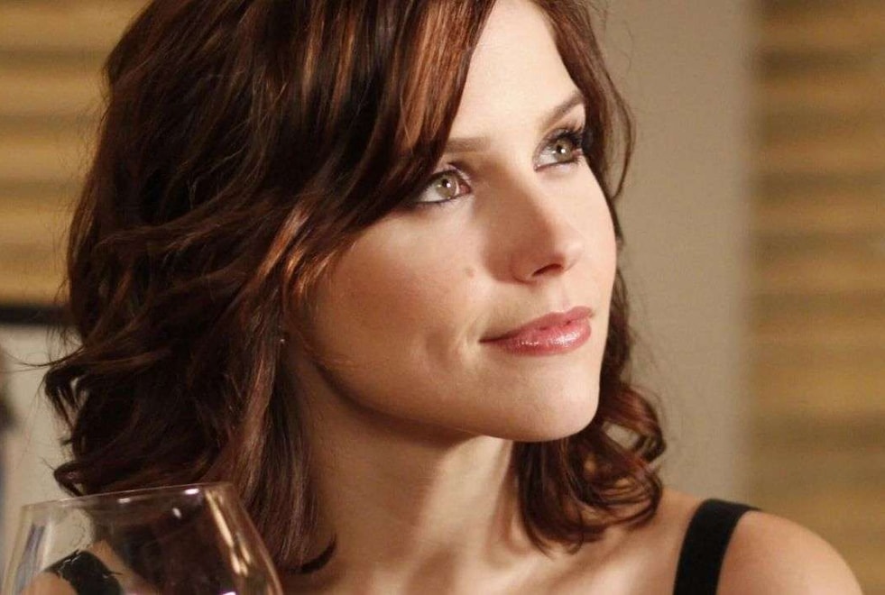 Les Frères Scott : où en est Brooke Davis aujourd’hui ? Sophia Bush répond