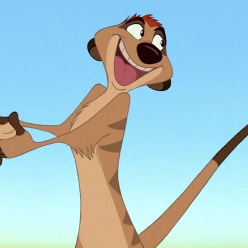 Timon (Le Roi Lion)