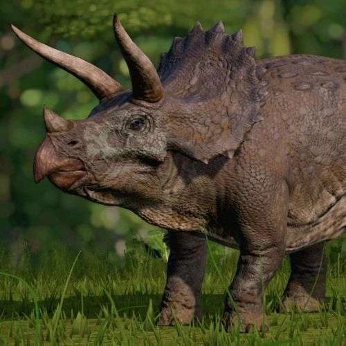 Un triceratops