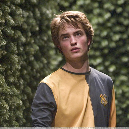 Cedric Diggory