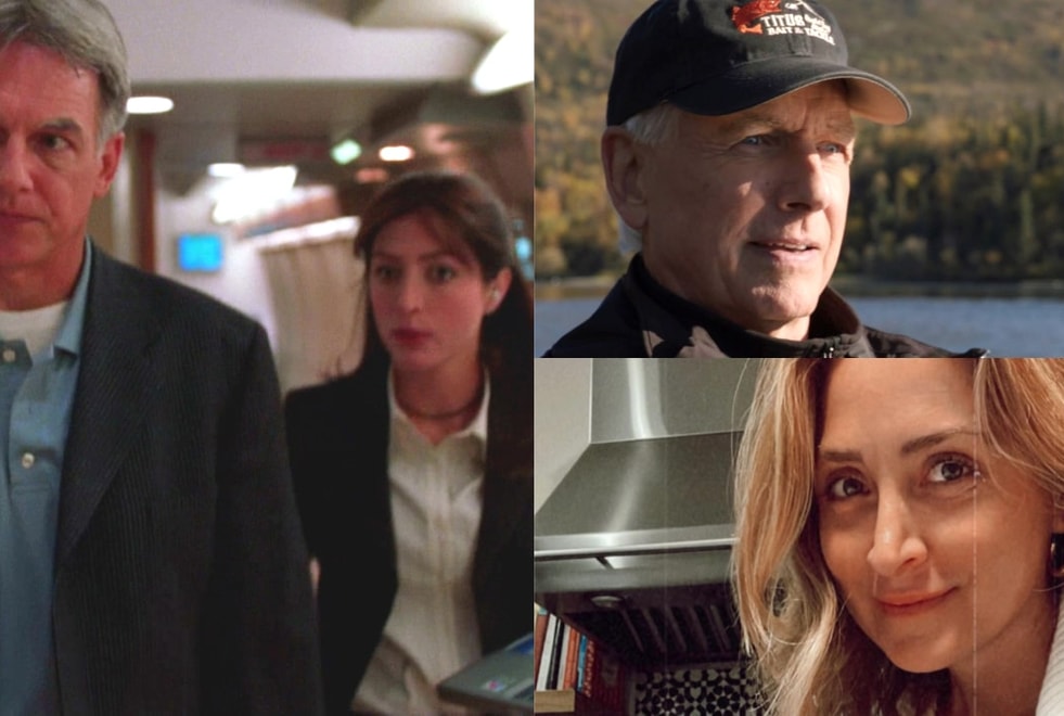 NCIS : les acteurs de la série dans leur premier épisode vs aujourd’hui