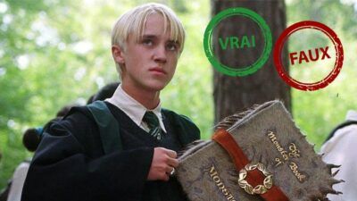 Harry Potter : seul un vrai fan aura 10/10 à ce quiz vrai ou faux sur Drago Malefoy