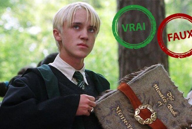 Harry Potter : seul un vrai fan aura 10/10 à ce quiz vrai ou faux sur Drago Malefoy