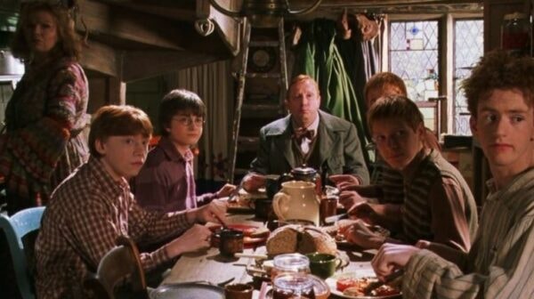 famille-weasley_harrypotter