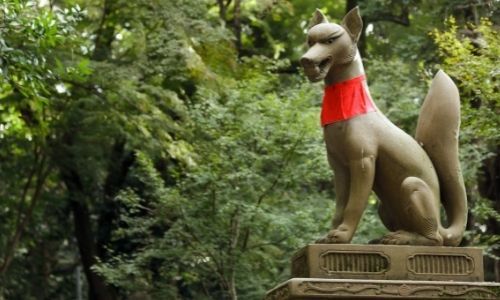La divinité Inari : le renard