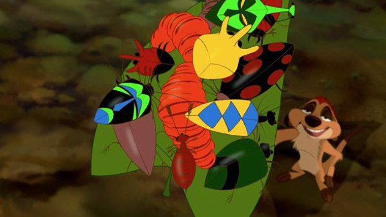 insects-vers-le-roi-lion