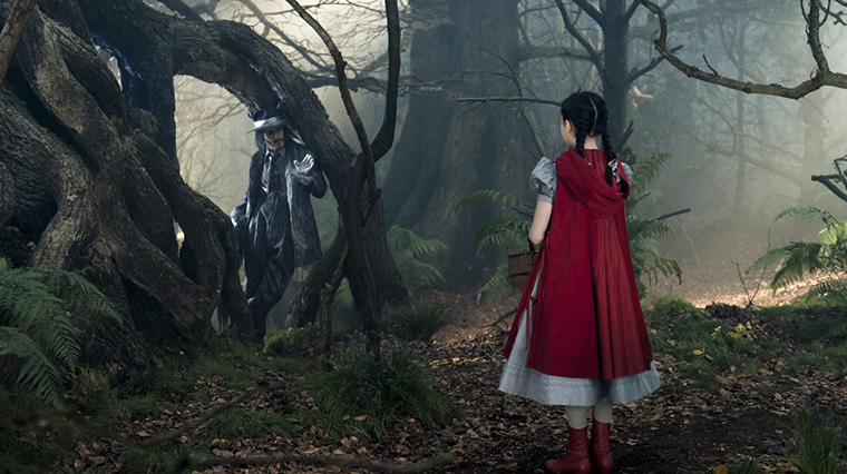 Into the woods