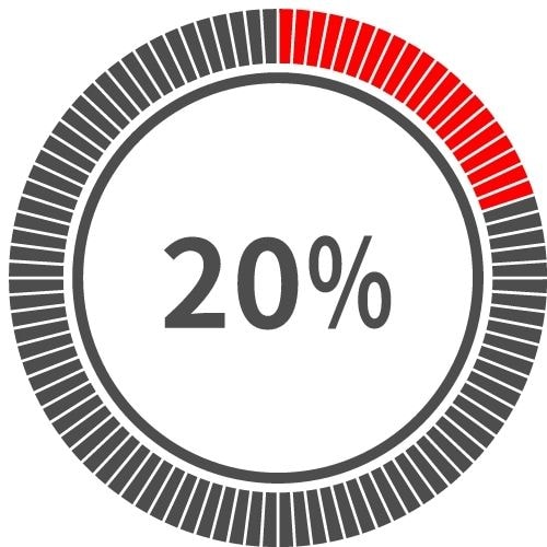 20% 