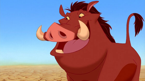 pumbaa