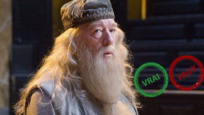 Harry Potter : impossible d&rsquo;avoir 10/10 à ce quiz vrai ou faux sur Albus Dumbledore
