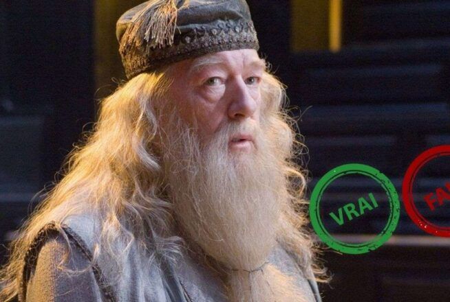 Harry Potter : impossible d&rsquo;avoir 10/10 à ce quiz vrai ou faux sur Albus Dumbledore