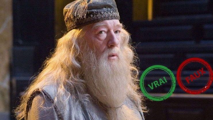 Harry Potter : impossible d'avoir 10/10 à ce quiz vrai ou faux sur Albus Dumbledore