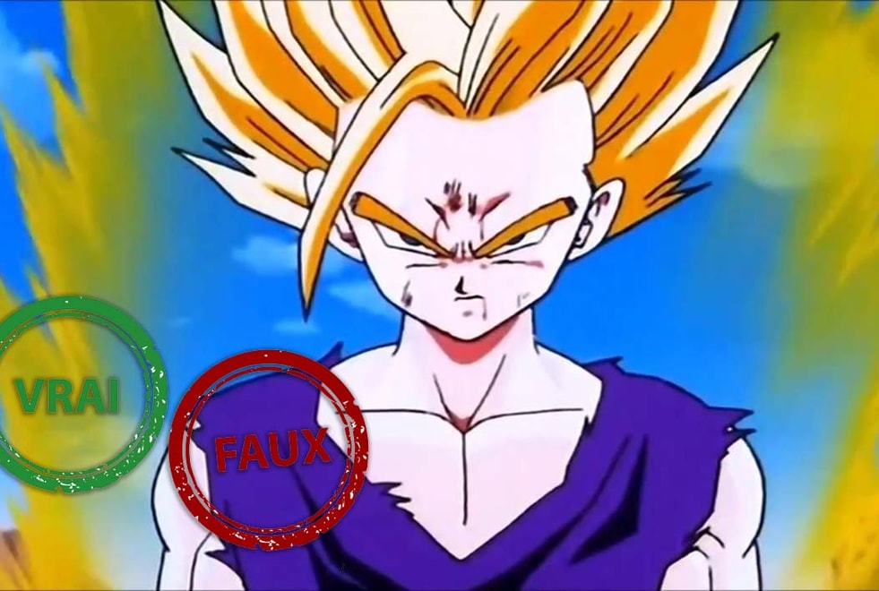 Dragon Ball Z : impossible d’avoir 5/5 à ce quiz Vrai ou Faux sur Gohan